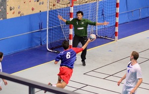 5bd15de0de182_IMG7494.jpg