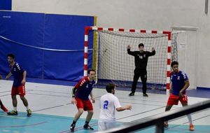 5bd15de2b3970_IMG7511.jpg