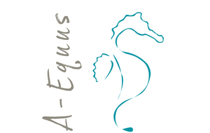 A-Equus