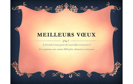 Meilleurs Vœux